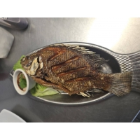 FRIED WHOLE LILAPIA